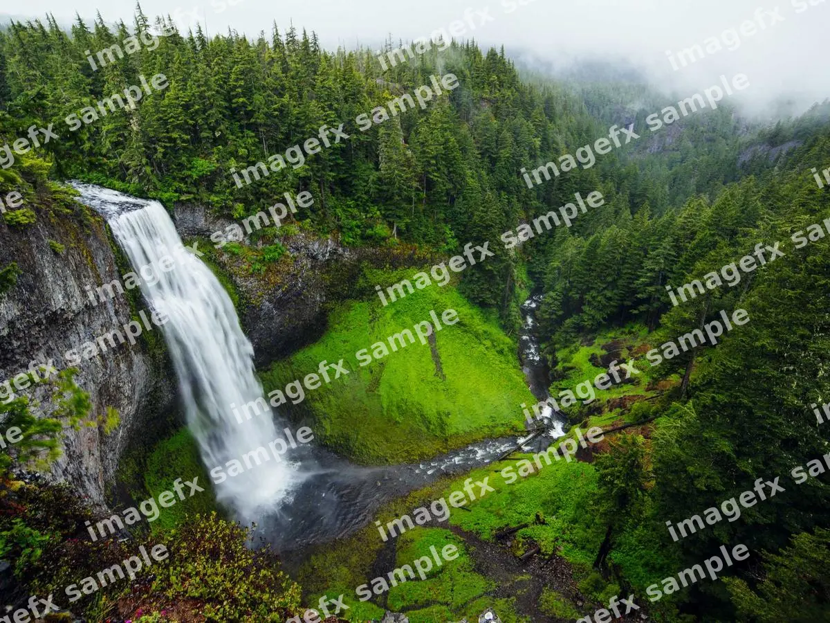 Before: photo with a repeating tiled watermark